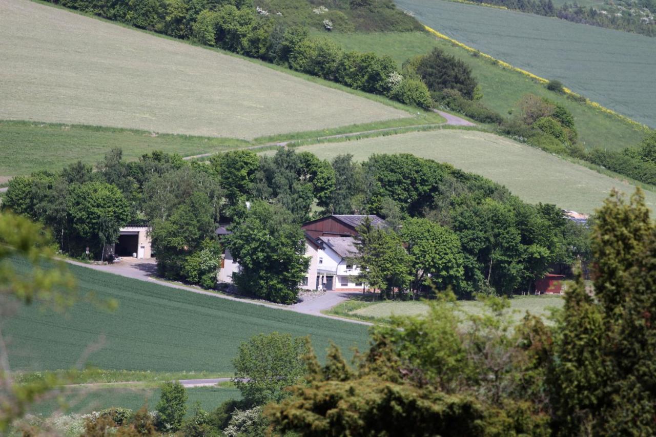 Ferienwohnung Heideblick Volkesfeld 外观 照片